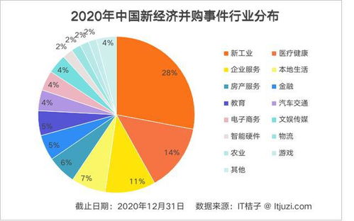 2020 2021中国新经济创业投资分析报告 重磅发布